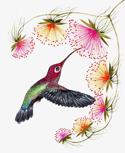 Cartoon Hummingbird PNG, Clipart, Animal, Cartoon, Cartoon Clipart, Flowers, Hand Free PNG Download