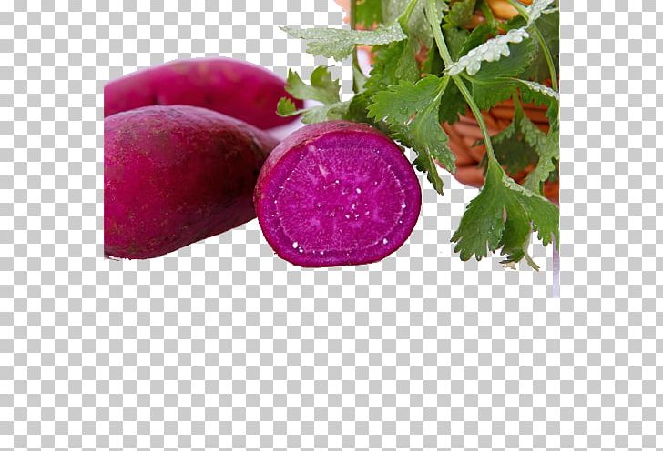 Purple Radish Sweet Potato Vegetable PNG, Clipart, Beet, Beetroot, Dish, Food, Fruit Free PNG Download