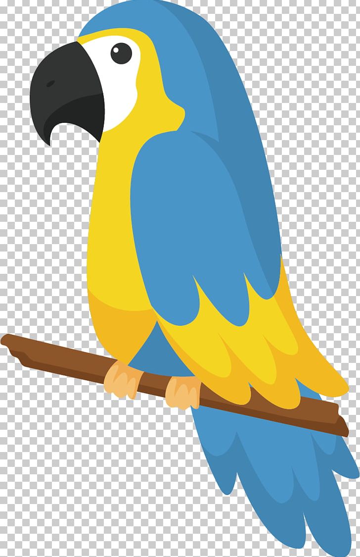 Parrot Bird Drawing PNG, Clipart, Animals, Beak, Blueandyellow Macaw, Branches, Color Free PNG Download