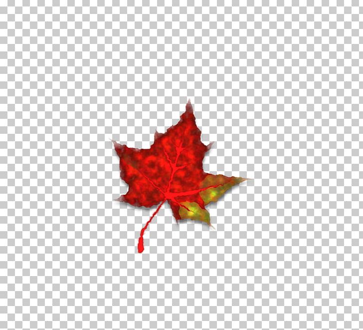 Autumn Red Icon PNG, Clipart, Adobe Illustrator, Autumn, Autumn Leaf Color, Autumn Leaves, Autumn Tree Free PNG Download