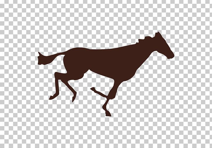 Mustang Foal Stallion Pack Animal Pony PNG, Clipart, Bridle, Colt, Dog Like Mammal, Eadweard Muybridge, Equestrian Free PNG Download