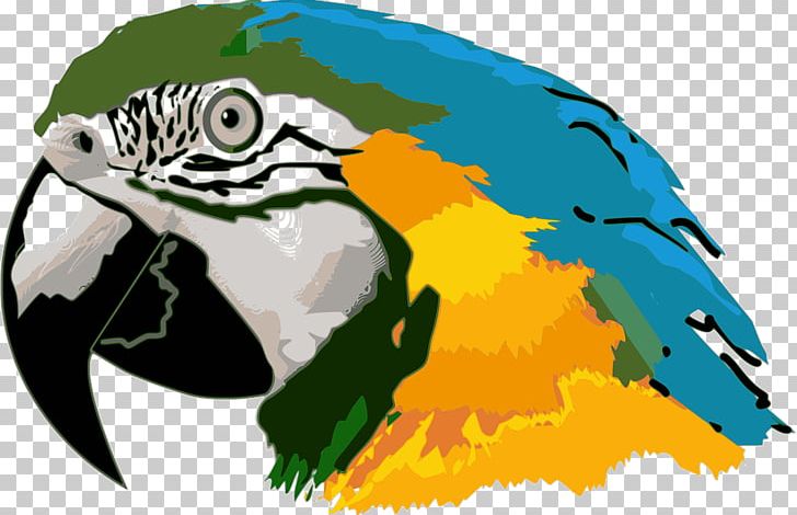 Parrot Bird Hyacinth Macaw PNG, Clipart,  Free PNG Download