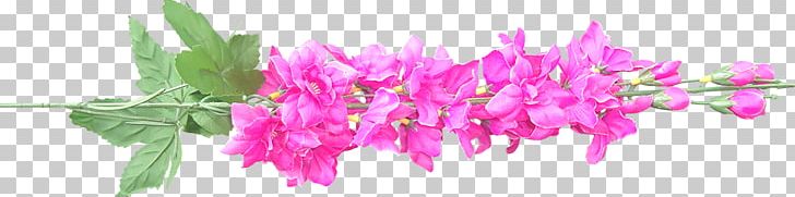 Pink M RTV Pink Plant Stem PNG, Clipart, Fleur, Flower, Flowers, Grass, Magenta Free PNG Download