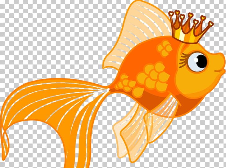 Goldfish PNG, Clipart, Animals, Aquarium, Cartoon, Fish, Goldfish Free PNG Download