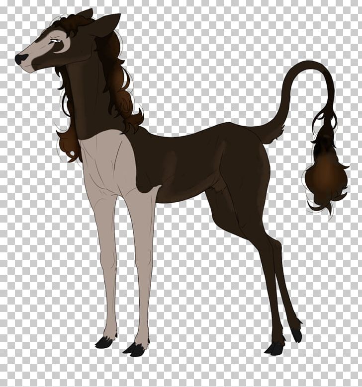 Mustang Foal Colt Stallion Pony PNG, Clipart, Colt, Foal, Mustang, Pony, Stallion Free PNG Download