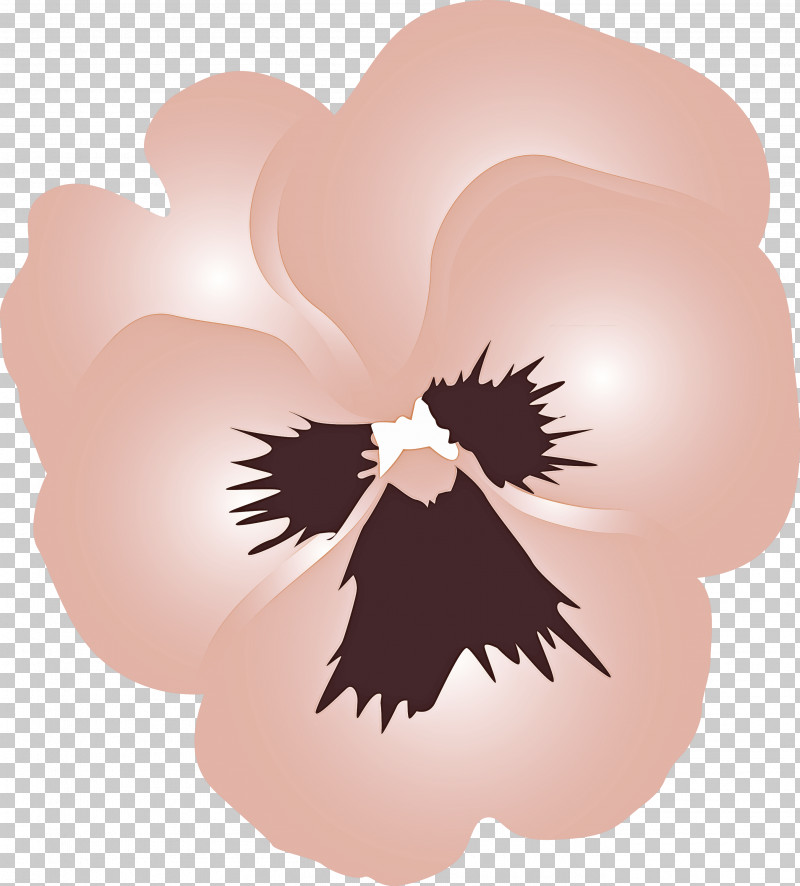 PANSY Spring Flower PNG, Clipart, Pansy, Plant, Spring Flower, Wing Free PNG Download