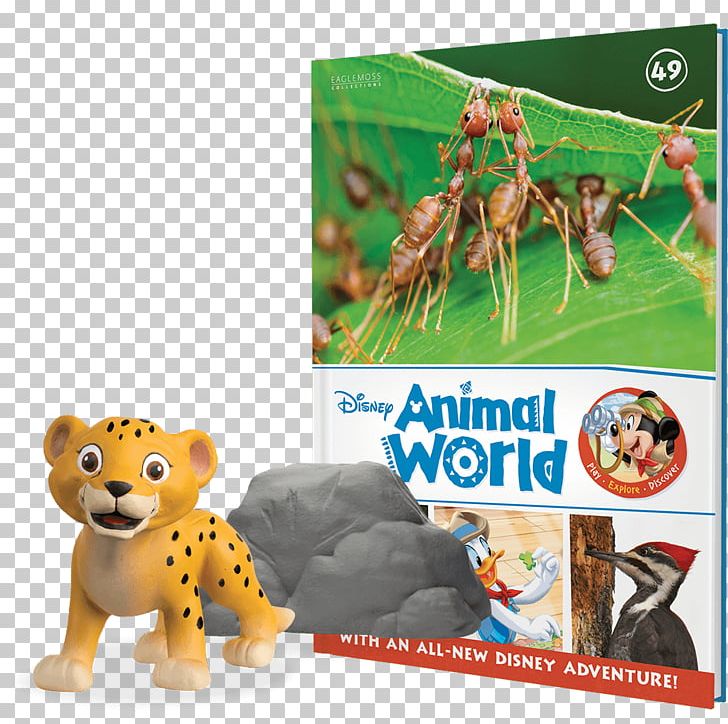 Cheetah Carnivora Animal Fauna Ecosystem PNG, Clipart, Advertising, Animal, Animals, Carnivora, Carnivoran Free PNG Download