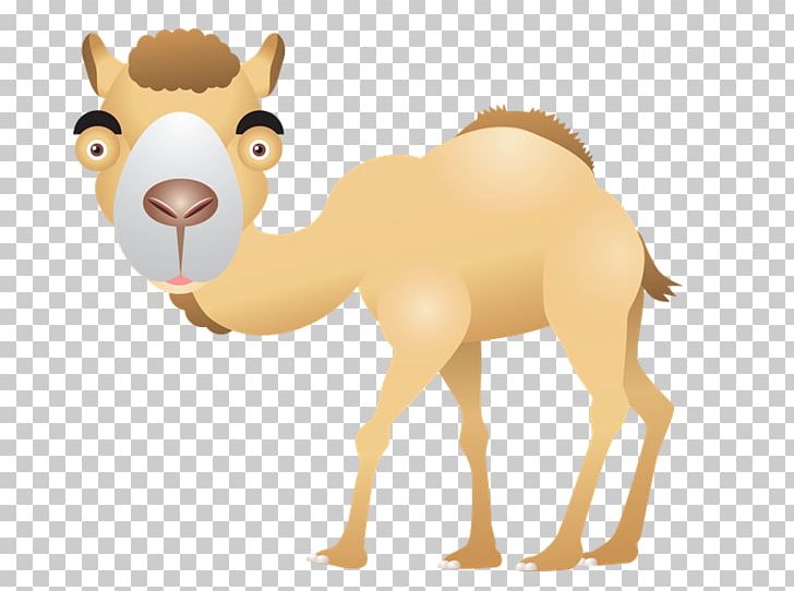 Dromedary Animal PNG, Clipart, Animal, Animal Figure, Arabian Camel, Camel, Camel Like Mammal Free PNG Download