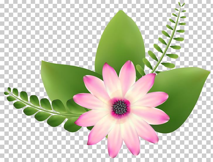 Flower Art PNG, Clipart, Art, Clip Art, Clip Art, Clipart, Cut Flowers Free PNG Download