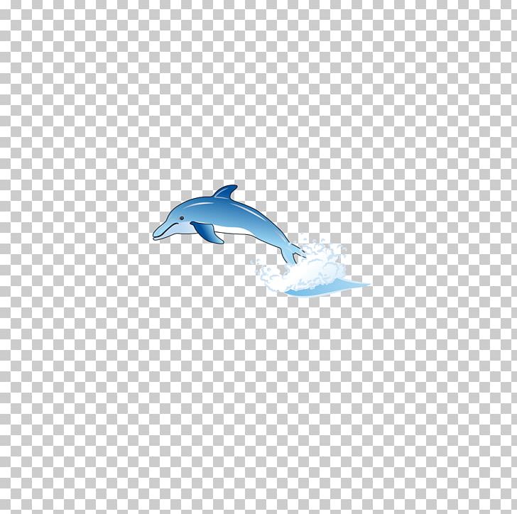 Marine Mammal Sky Pattern PNG, Clipart, Animals, Azure, Blue, Cartoon Dolphin, Computer Free PNG Download