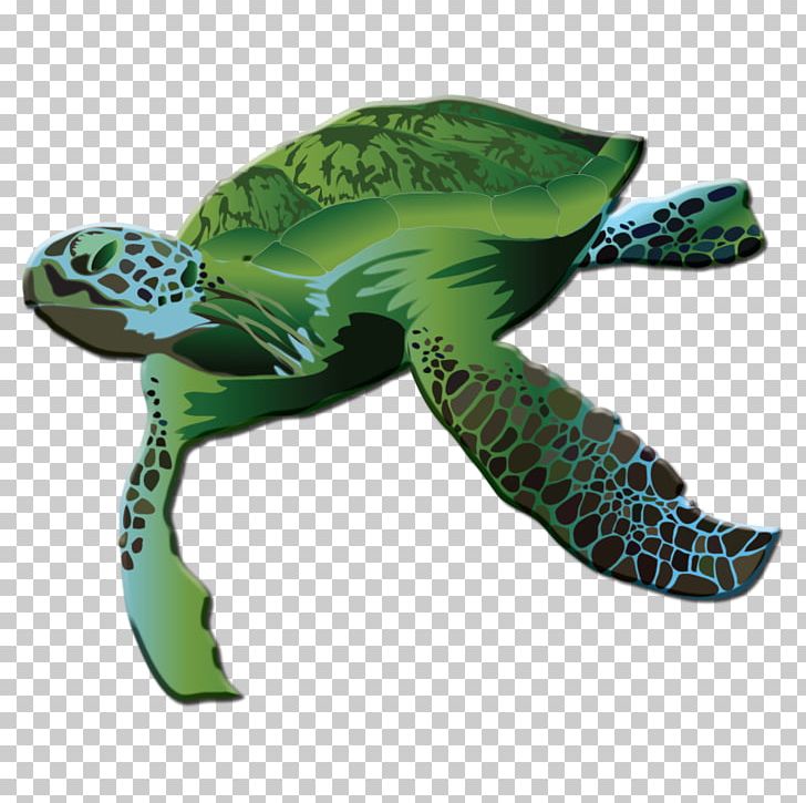 Green Sea Turtle Reptile Logo PNG, Clipart, Animal, Animals, Emydidae, Greene Turtle, Green Sea Turtle Free PNG Download