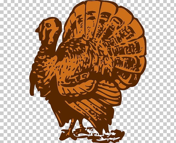 Turkey Meat Thanksgiving PNG, Clipart, Art, Beak, Bird, Chicken, Domesticated Turkey Free PNG Download