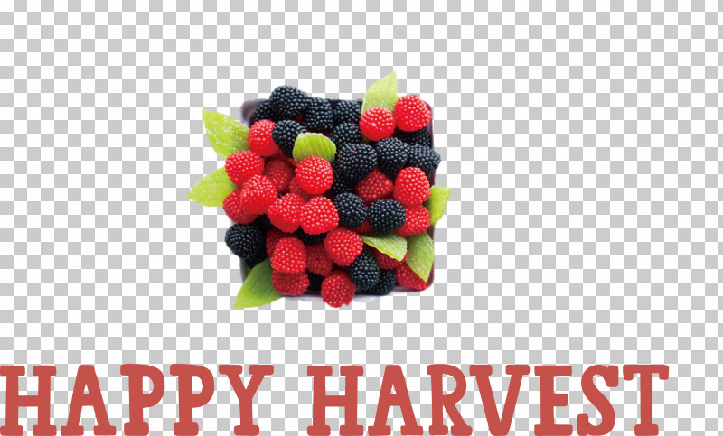 Happy Harvest Harvest Time PNG, Clipart, Berry, Blackberries, Blueberries, Brambles, Fruit Free PNG Download