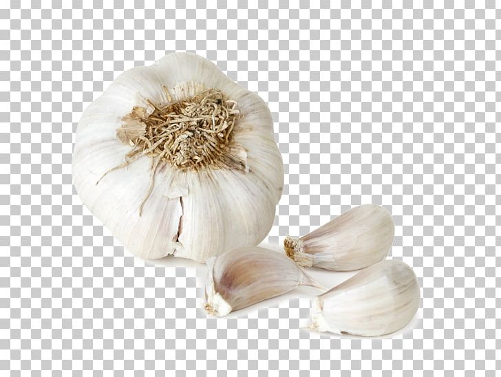 Garlic Italian Cuisine Vegetable Food Onion PNG, Clipart, Artichoke, Broccoli, Clove, Cuisine, Elephant Garlic Free PNG Download
