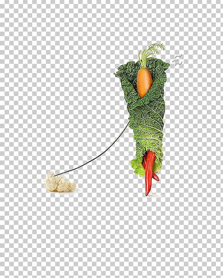 Carrot Vegetable Food Creativity Photography PNG, Clipart, Cabbage, Cauliflower, Chili, Chinese, Chinese Cabbage Free PNG Download