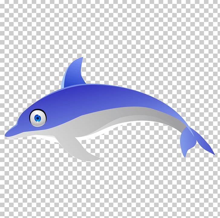 Dolphin Porpoise PNG, Clipart, Animal, Animals, Blue, Cetacea, Cobalt Blue Free PNG Download