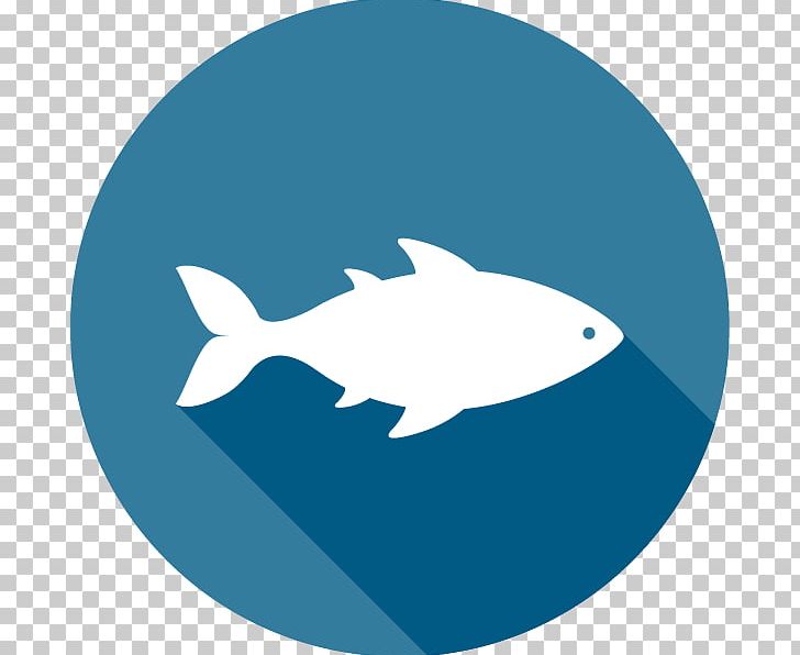 Virginia Department Of Motor Vehicles Fish Seafood Knowledge Test PNG, Clipart, Animals, Combat, Department Of Motor Vehicles, Dolphin, Electric Blue Free PNG Download