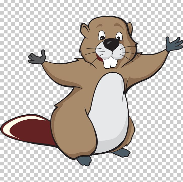 Beaver Cartoon PNG, Clipart, Animals, Bea, Bear, Beaver Png, Carnivoran Free PNG Download