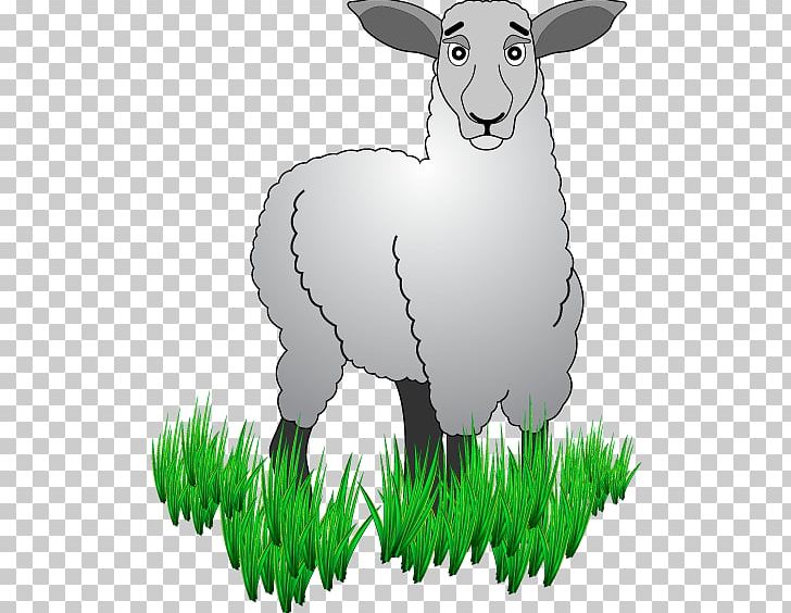 Sheep Domestic Rabbit Hare Goat PNG, Clipart, Animals, Cattle, Cattle Like Mammal, Cow Goat Family, Domestic Rabbit Free PNG Download