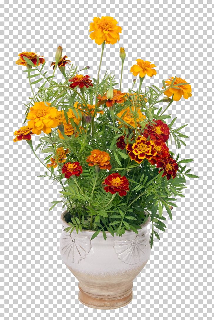 Floral Design Flowerpot Marigold Cut Flowers PNG, Clipart, Annual Plant, Artificial Flower, Calendula, Calendula Officinalis, Cut Flowers Free PNG Download