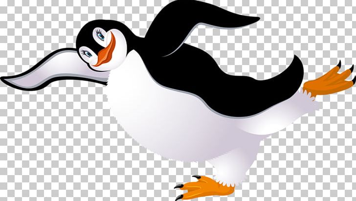 Penguin Bird PNG, Clipart, Animals, Beak, Black, Black And White, Cartoon Free PNG Download