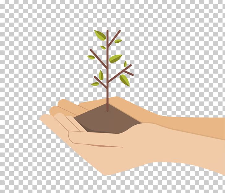 Tree Plant PNG, Clipart, Branch, Digital Image, Drawing, Finger, Flower Free PNG Download