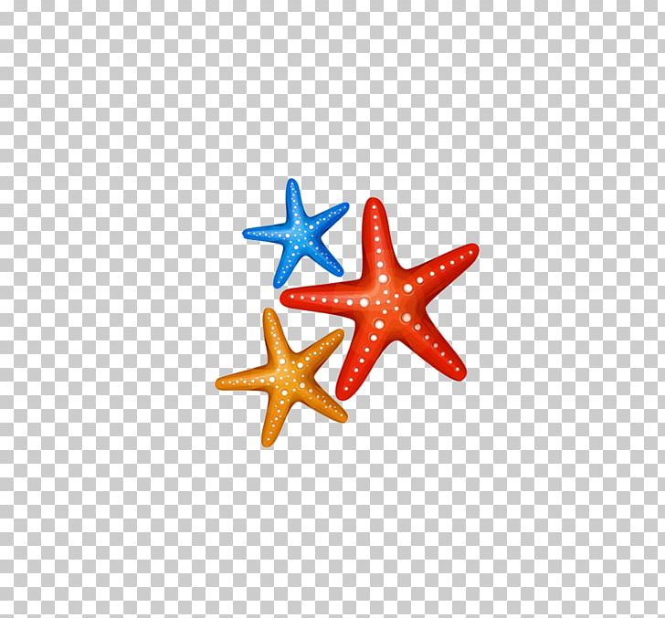 Benthic Zone PNG, Clipart, Animal, Animals, Beautiful Starfish, Benthos, Cartoon Free PNG Download