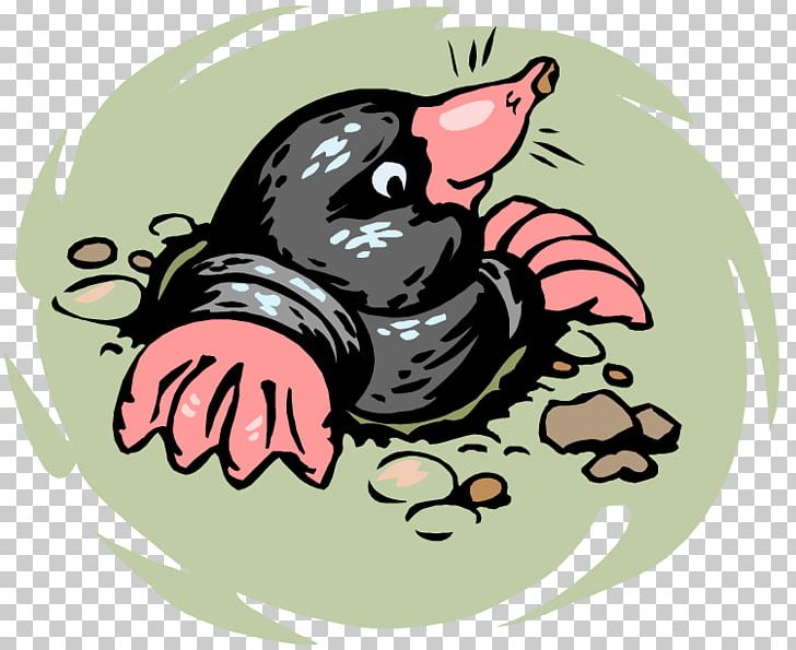European Mole Biology Talpidae Moles PNG, Clipart, Animal, Biology, Bird, Carnivoran, Cartoon Free PNG Download