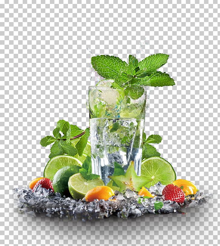 Maghrebi Mint Tea Juice Iced Tea Lemon PNG, Clipart, Cocktail, Cocktail Garnish, Cool, Drink, Food Drinks Free PNG Download
