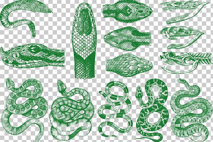 Snake Vipers Pattern PNG, Clipart, Animals, Baby Rattle, Cartoon Snake, Cobra, Drawing Free PNG Download