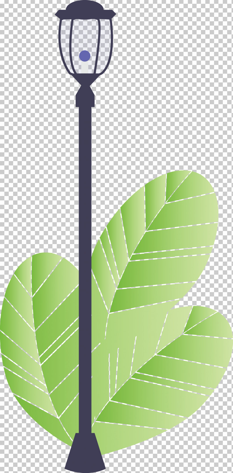 Street Light Tree PNG, Clipart, Green, Leaf, Line, Logo, Plant Free PNG Download