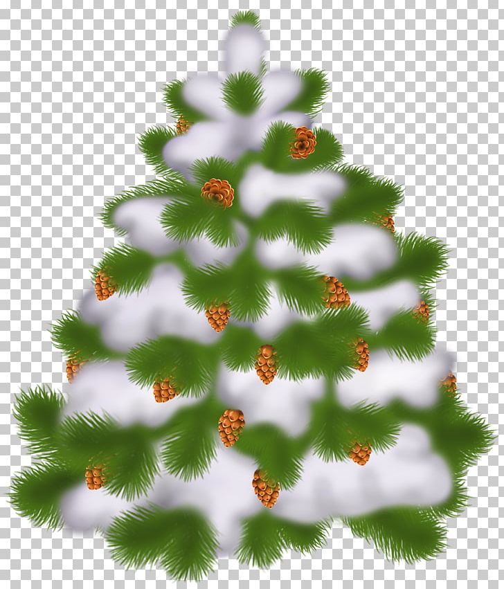 Christmas Tree Christmas Day PNG, Clipart, Branch, Christmas, Christmas, Christmas And Holiday Season, Christmas Day Free PNG Download
