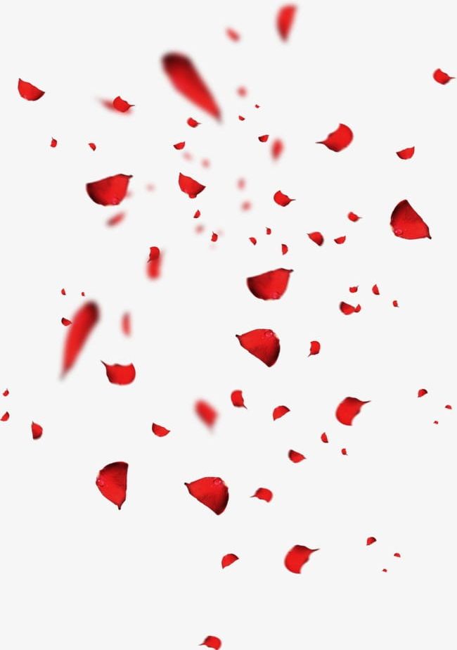 Red Petals PNG, Clipart, Falling, Falling Petals, Flower, Flower Petals, Fluttered Free PNG Download