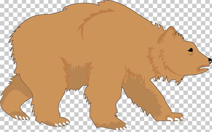 Brown Bear American Black Bear Polar Bear PNG, Clipart, American Black Bear, Animation, Bear, Bear Cliparts, Big Cats Free PNG Download