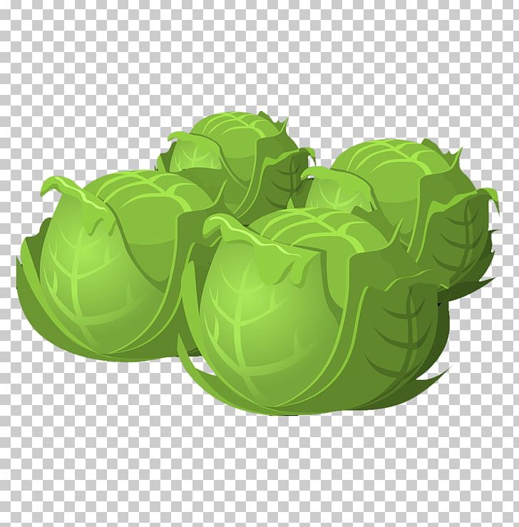 Cabbage Vegetable PNG, Clipart, Balloon Cartoon, Boy Cartoon, Brassica Oleracea, Carrot, Cartoon Alien Free PNG Download