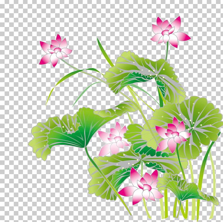 Common Carp PNG, Clipart, Branch, Fish, Flo, Flora, Floristry Free PNG Download