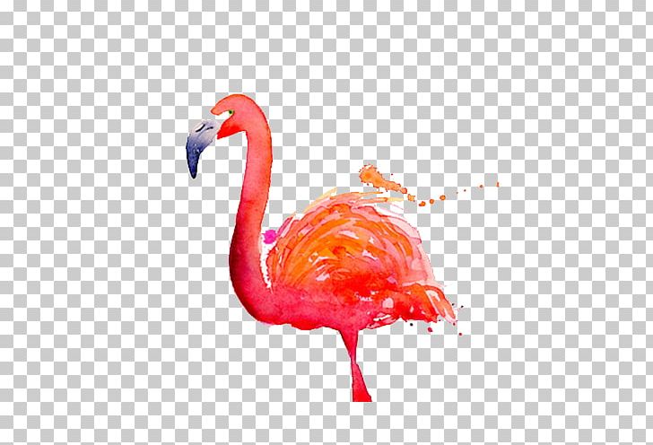 Flamingo Watercolor Painting Dribbble PNG, Clipart, Animals, Beak, Bird, Birds, Designer Free PNG Download