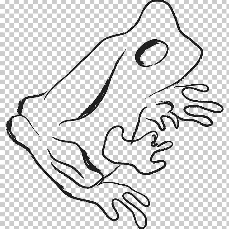 Frog Visual Arts PNG, Clipart, Art, Artwork, Bird, Black, Black And White Free PNG Download