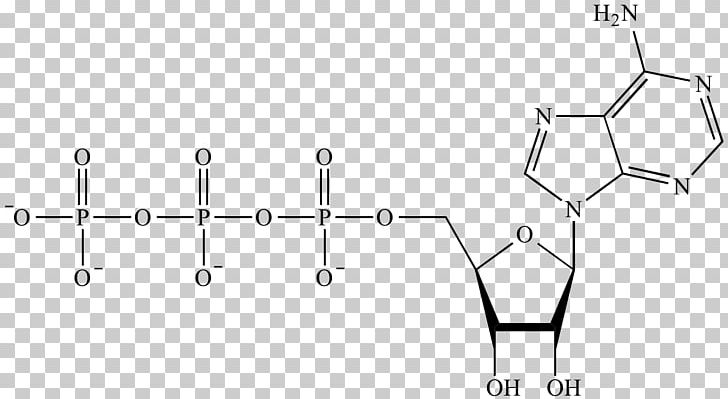 Phosphate Functional Group Phosphorus Organic Chemistry PNG, Clipart, Angle, Atom, Black And White, Calcium Phosphate, Chemical Bond Free PNG Download