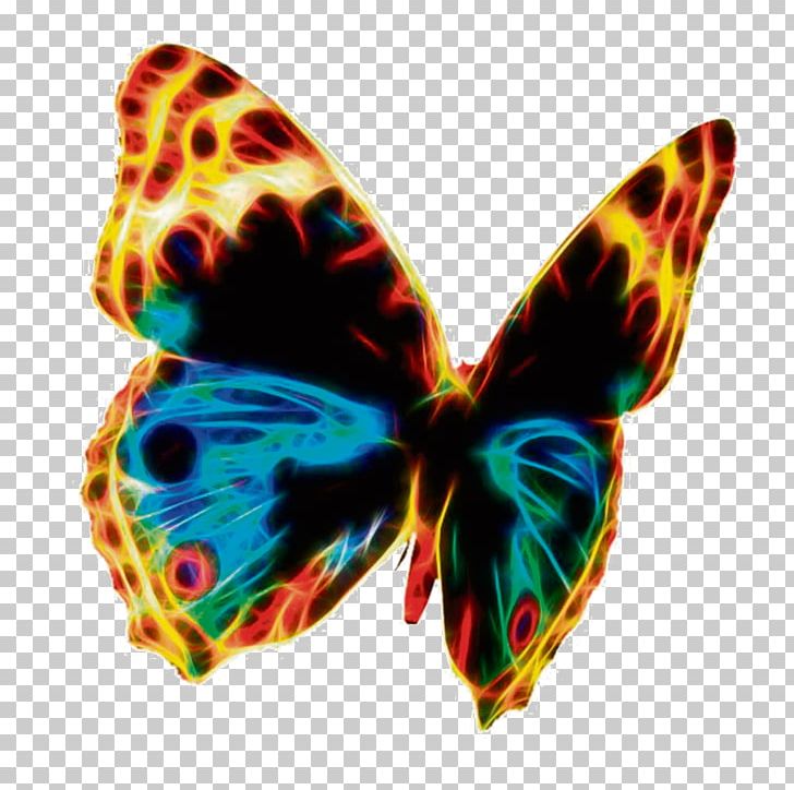 Butterfly Public Domain PNG, Clipart, Brush Footed Butterfly, Butterfly, Clip Art, Desktop Wallpaper, Drawing Free PNG Download