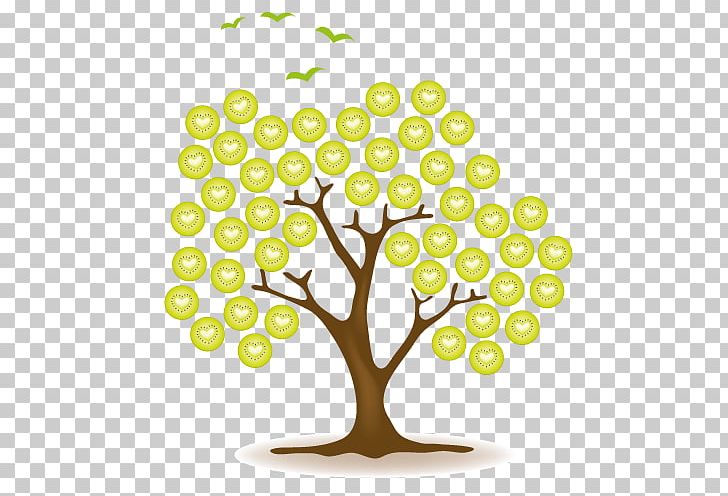 Kiwifruit Tree Actinidain PNG, Clipart, Actinidain, Actinidia, Area, Branch, Broadleaved Tree Free PNG Download