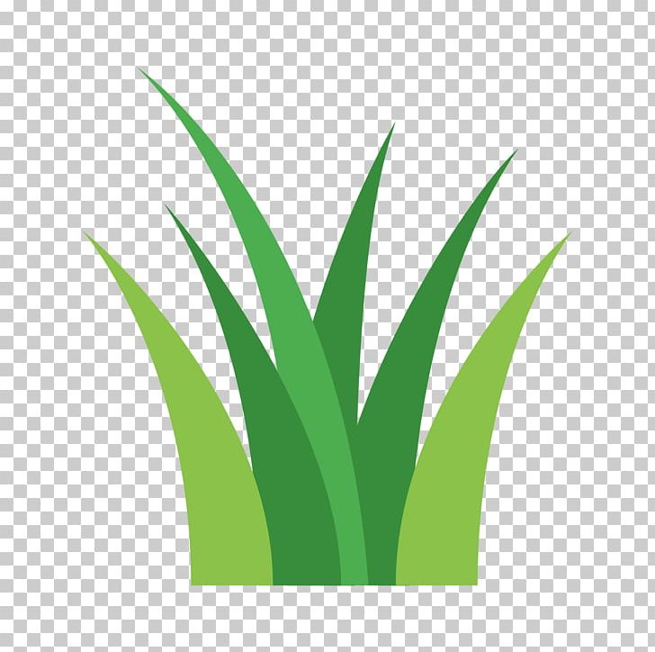 Plant Stem Grasses Desktop Computer Icons PNG, Clipart, Artificial Turf, Assortment Strategies, Cleaning, Computer, Computer Icons Free PNG Download