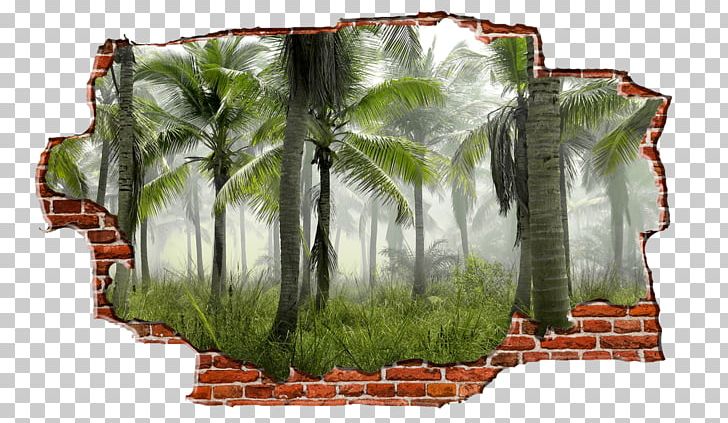 Arecaceae Tree Tropical Rainforest Frond PNG, Clipart, Arecaceae, Coconut, Forest, Frond, Grass Free PNG Download