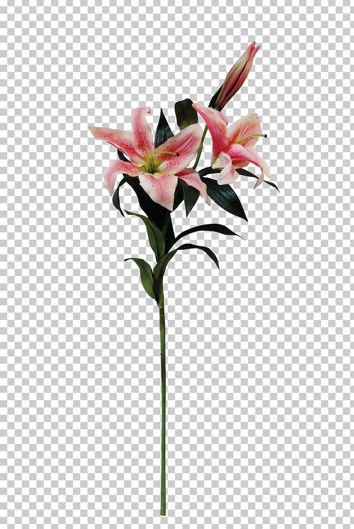 Floral Design Lilium Flower PNG, Clipart, Artificial Flower, Bud, Calla Lily, Cut Flowers, Data Free PNG Download