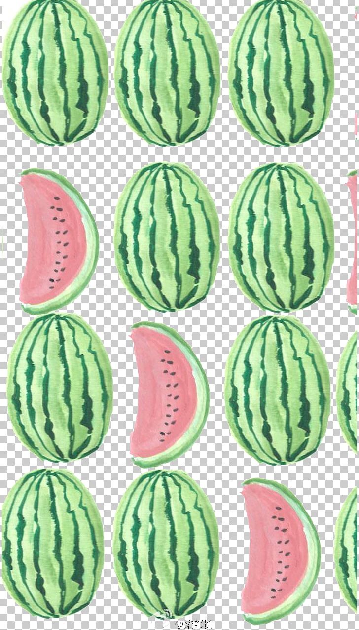 Fruit Salad Watermelon Drawing Pattern PNG, Clipart, Cartoon, Cartoon Watermelon, Citrullus, Color, Cucumber Gourd And Melon Family Free PNG Download