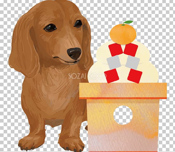Golden Retriever Puppy Dachshund Dog Breed Companion Dog PNG, Clipart, Breed, Carnivoran, Companion Dog, Dachshund, Dog Free PNG Download