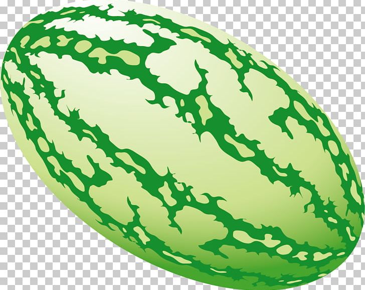 Watermelon Illustration PNG, Clipart, Citrullus, Cucu, Cucumber, Cucumber Gourd And Melon Family, Cucumis Free PNG Download