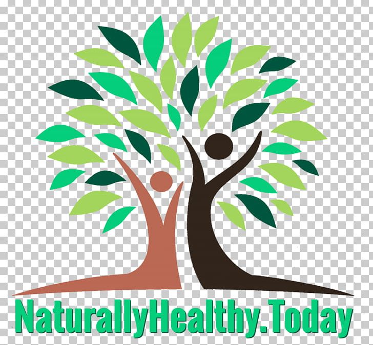Dietary Supplement Zija Drumstick Tree Health Nutrient PNG, Clipart, Area, Artwork, Branch, Brand, Dietary Supplement Free PNG Download