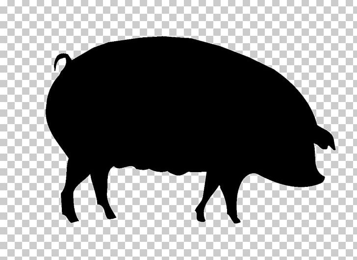 Pig Raffle Cattle Livestock Sheep PNG, Clipart, Animals, Black, Black And White, Cattle, Cattle Like Mammal Free PNG Download