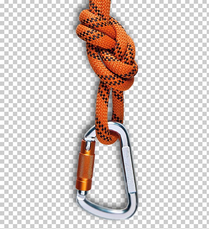 Safety Harness Rope Fall Protection Carabiner PNG, Clipart, Carabiner, Climbing Harnesses, Competencia, Fall Protection, Homo Sapiens Free PNG Download